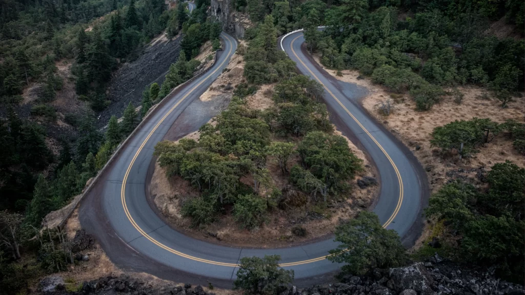 road curve nature trees landscape journey