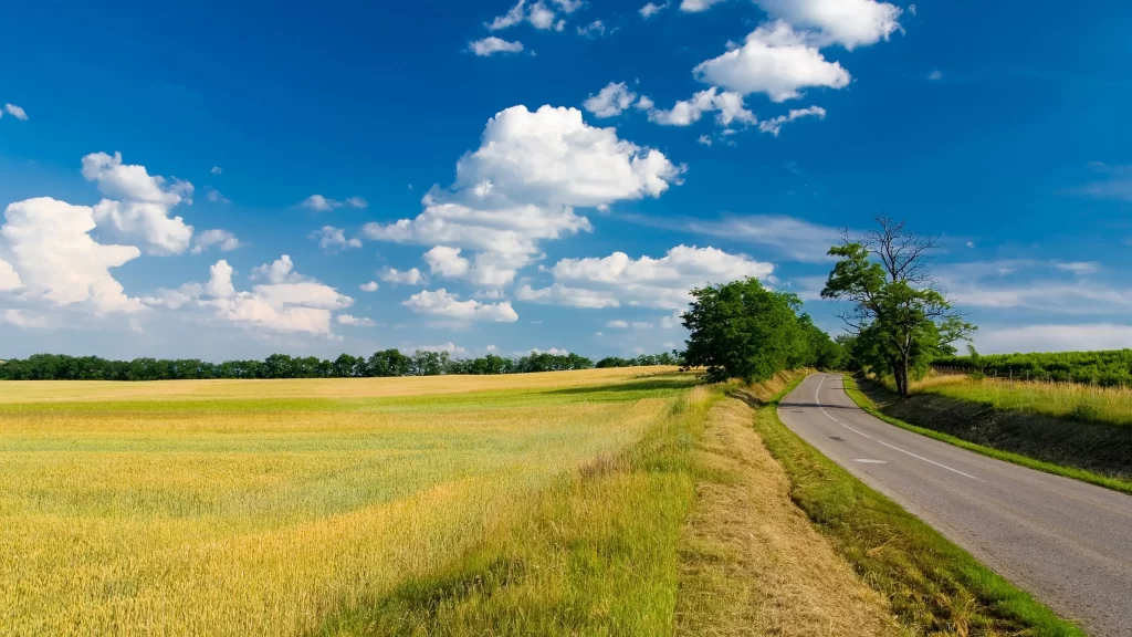 road field sky clouds trees