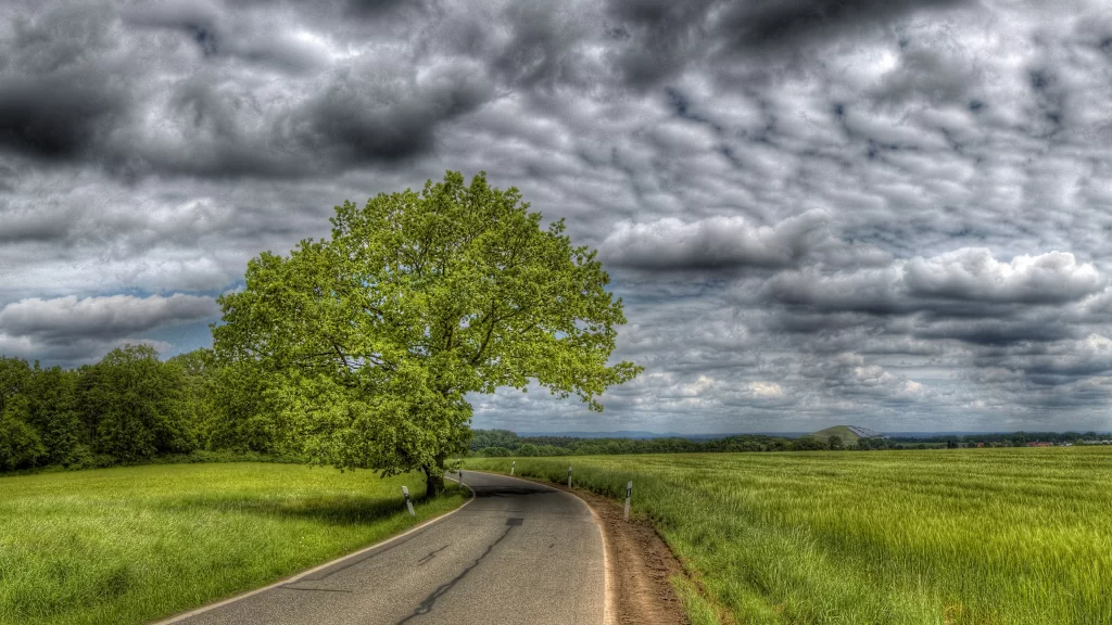 road tree clouds field sky