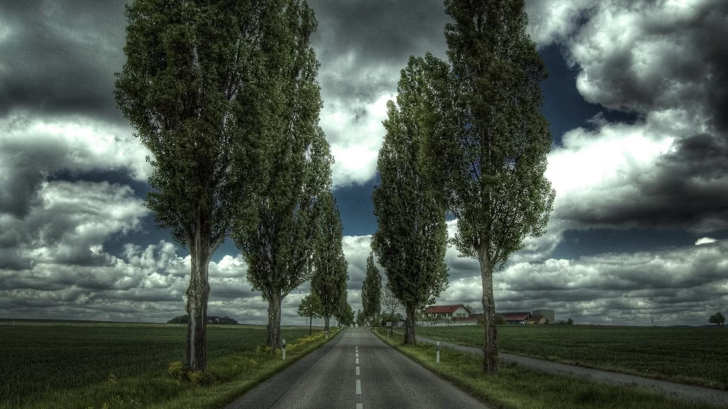 road trees sky clouds fields