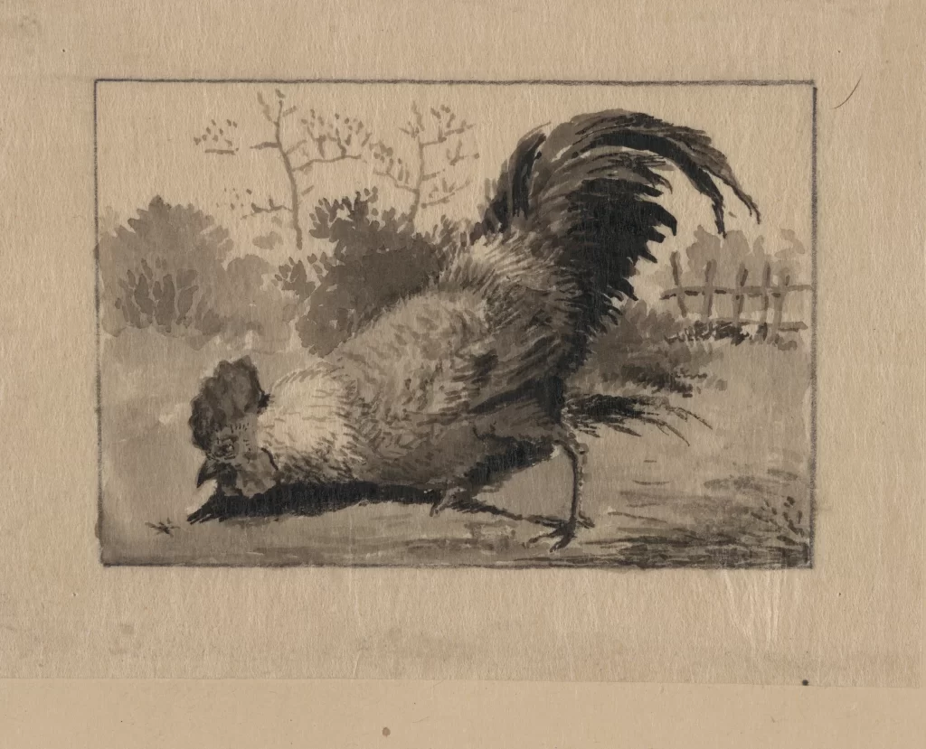 Rooster Monochrome Ink Drawing Detailed Feathers Naturalistic Style