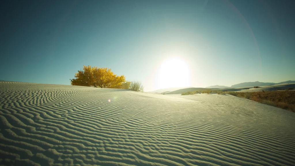 sand dunes desert sun clear sky yellow leaves landscape
