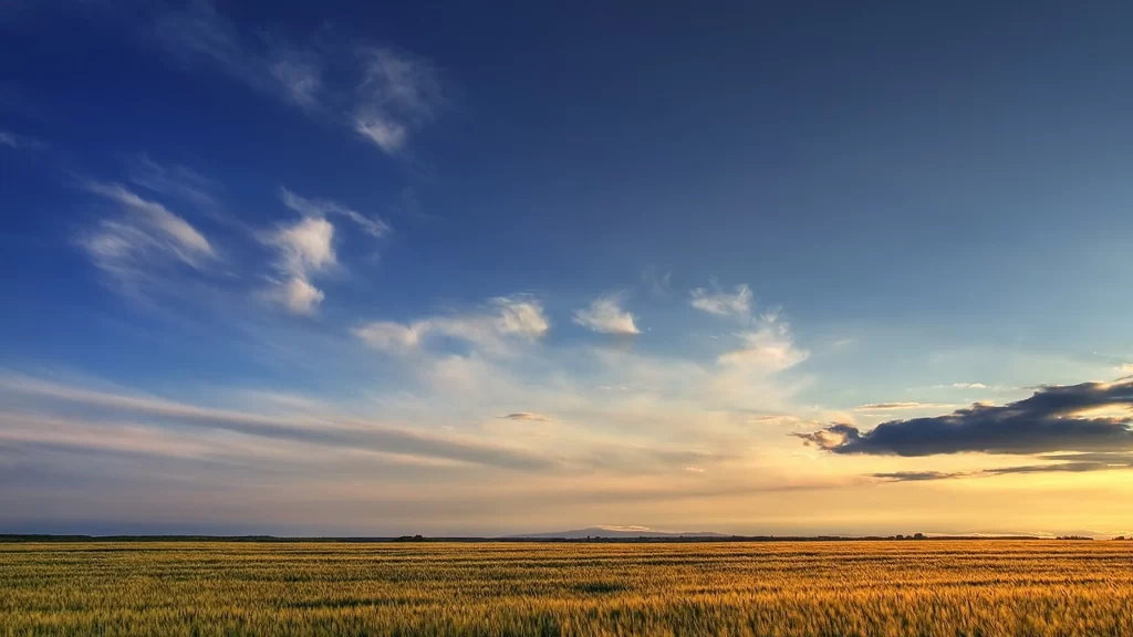 sky clouds field sunset landscape horizon
