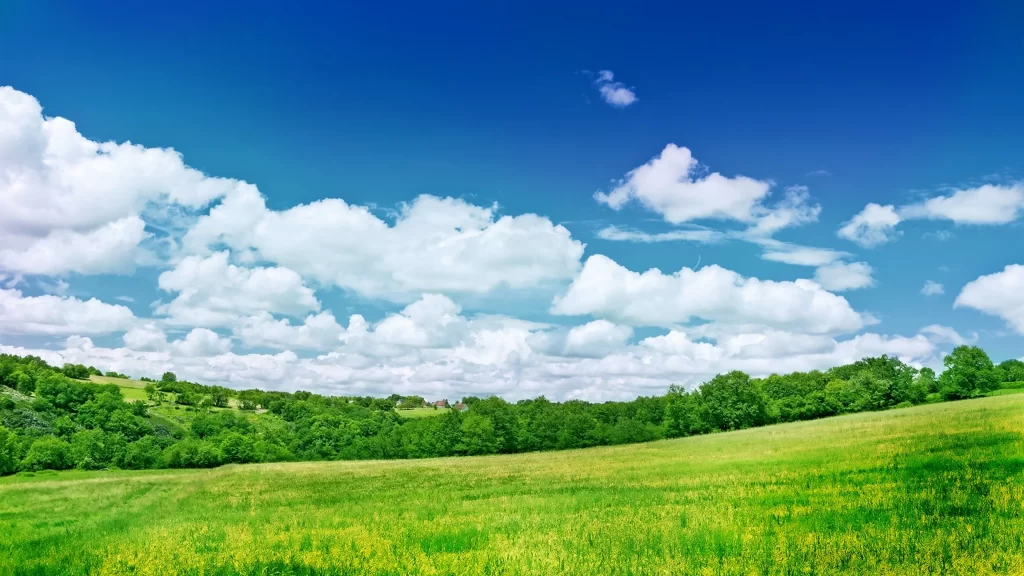sky clouds grass trees landscape nature