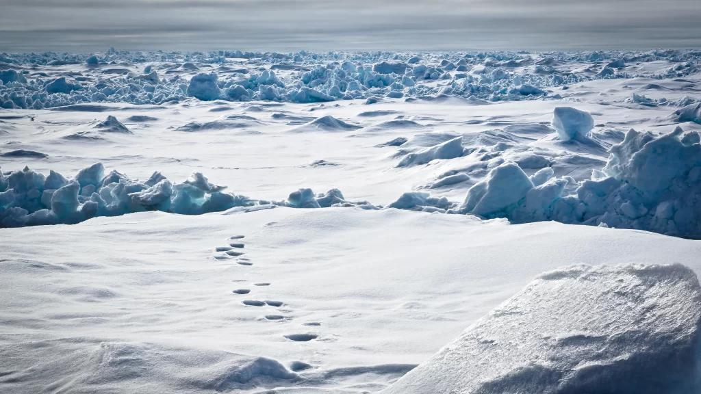 snow ice landscape cold winter nature