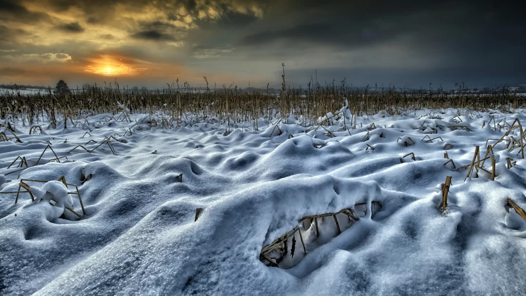 snow landscape sunset field winter