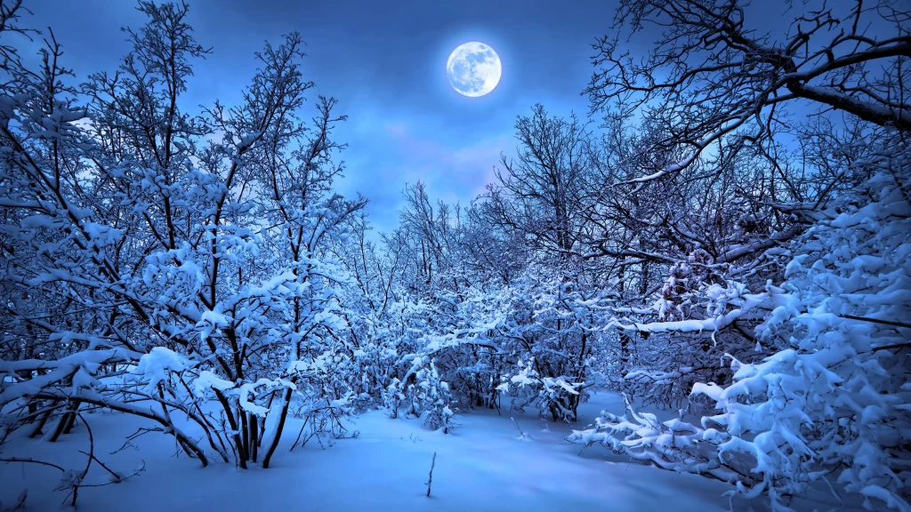 snow moon winter trees landscape