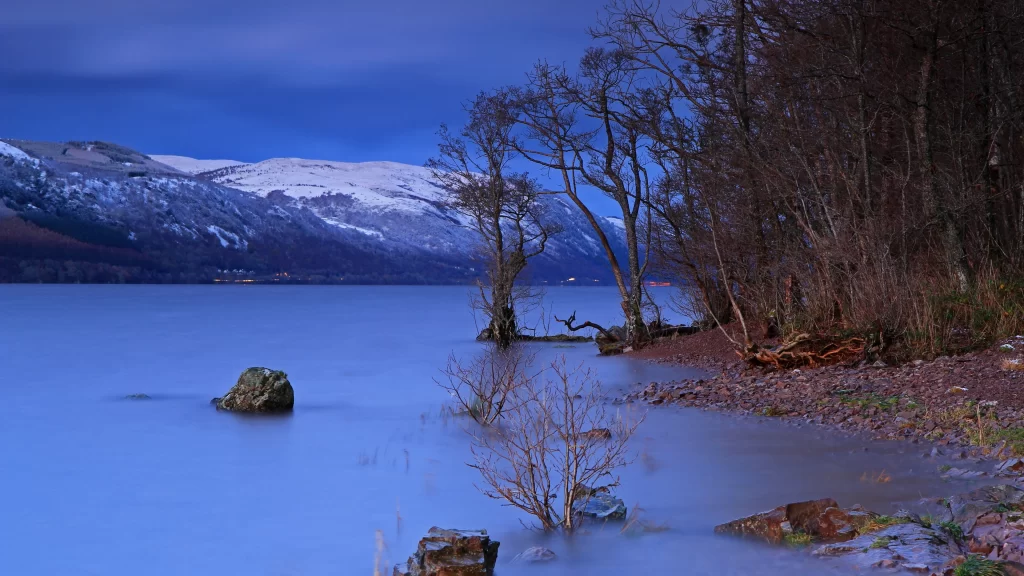 snow mountain lake trees water