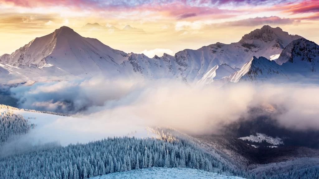 snow mountain sunrise fog forest winter