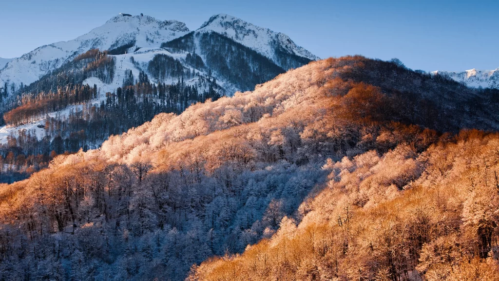 snow mountain trees sunlight winter