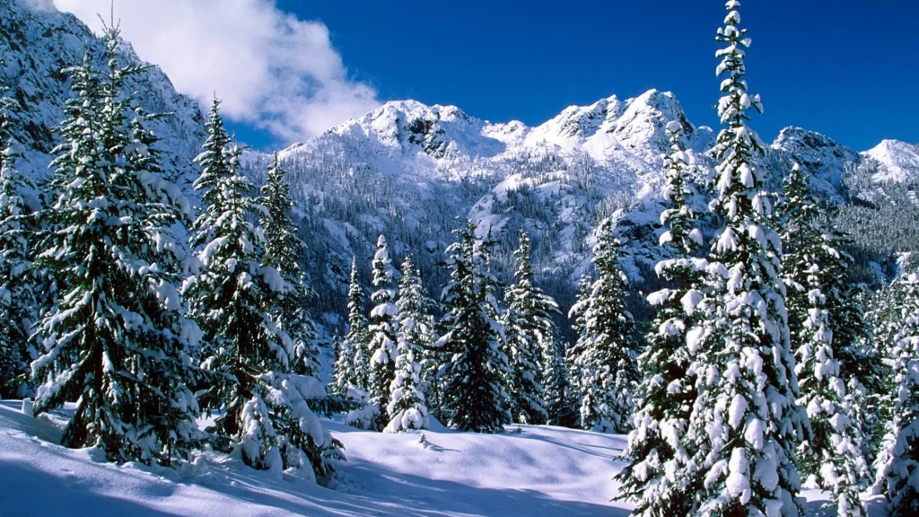 snow mountain trees winter landscape