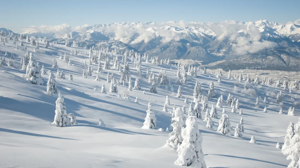 snow mountain trees winter landscape