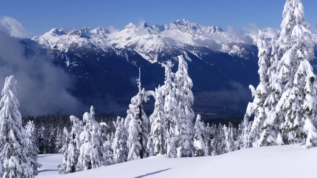 snow mountain trees winter landscape