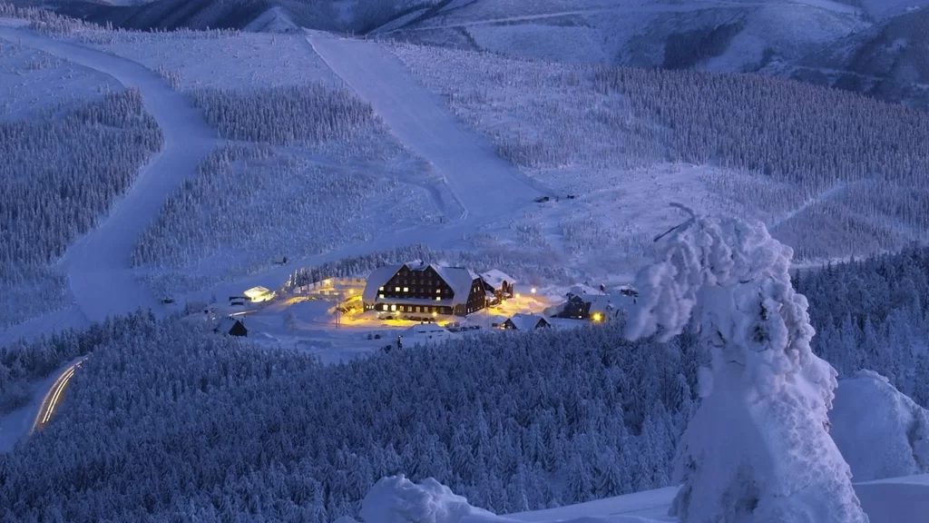 snow ski resort mountain trees lights winter
