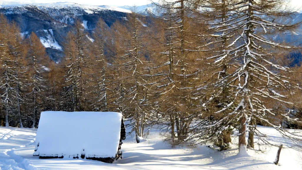 snow trees cabin mountains winter landscape
