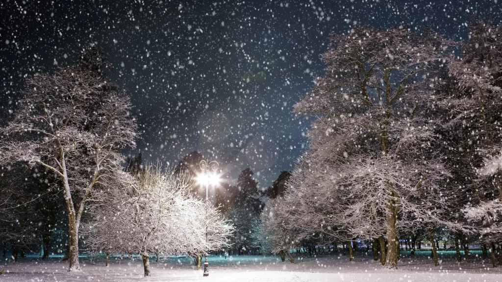 snow trees night streetlight winter landscape