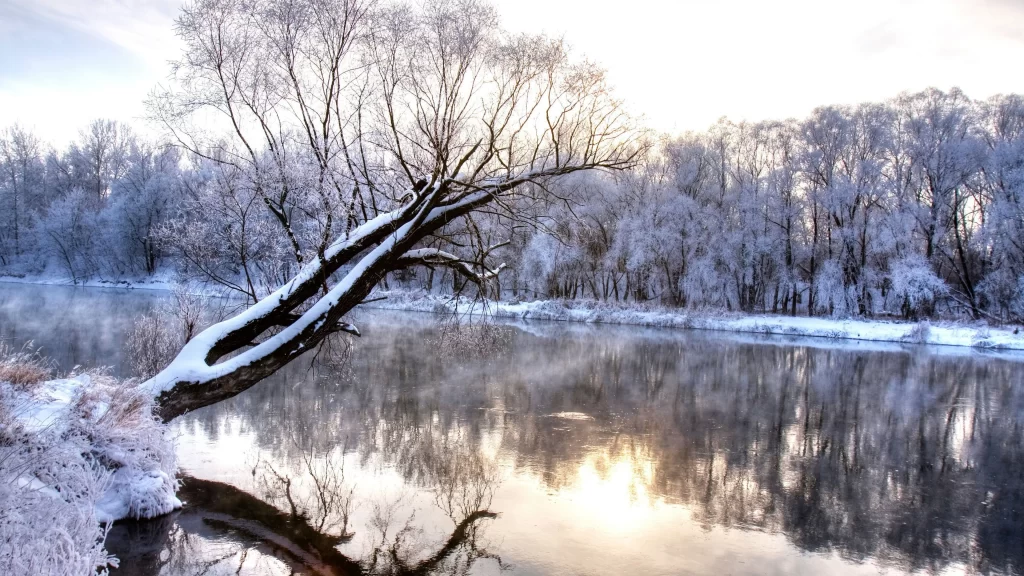 snow winter landscape tree reflection