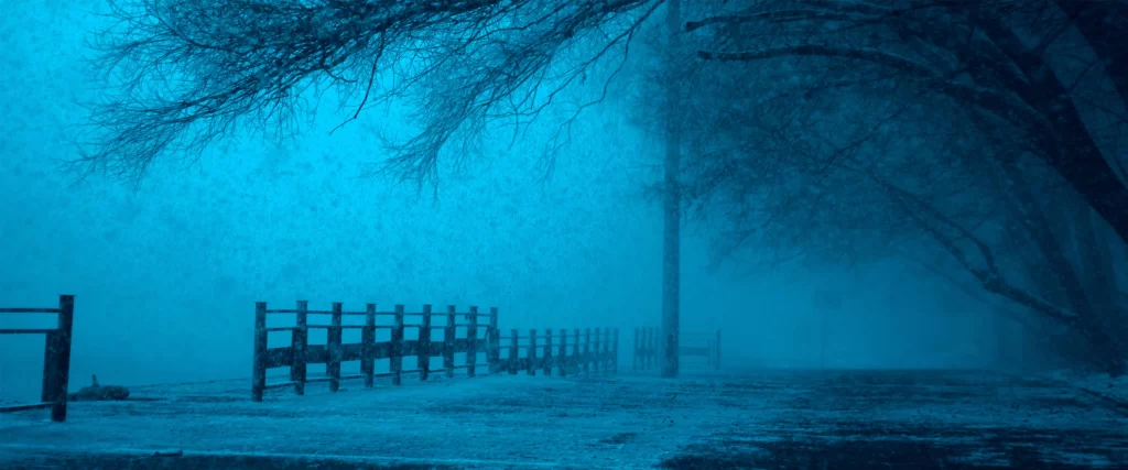 snowy, foggy, trees, path, blue, serene