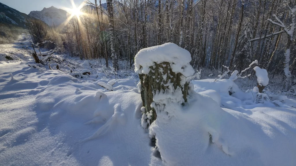 snowy landscape winter scene sun rays snowcovered trees mountain view tranquil n