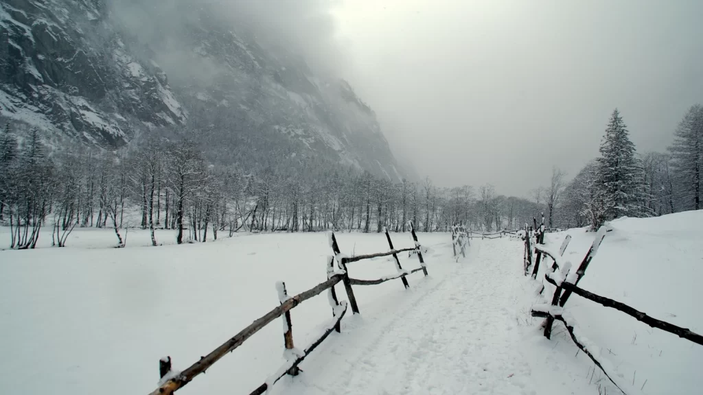 snowy landscape wooden fence mountain trees path winter