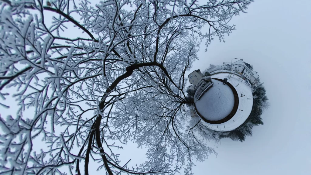 snowy tree branches winter landscape circular view