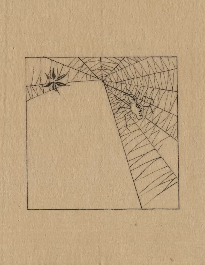 Spider Web Spider Monochrome Textured Paper Minimalist Surreal