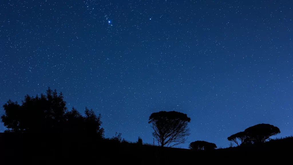 stars night sky trees landscape astronomy celestial bodies