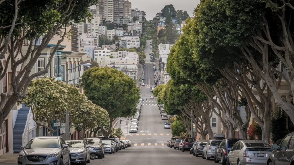 street cars trees buildings city urban