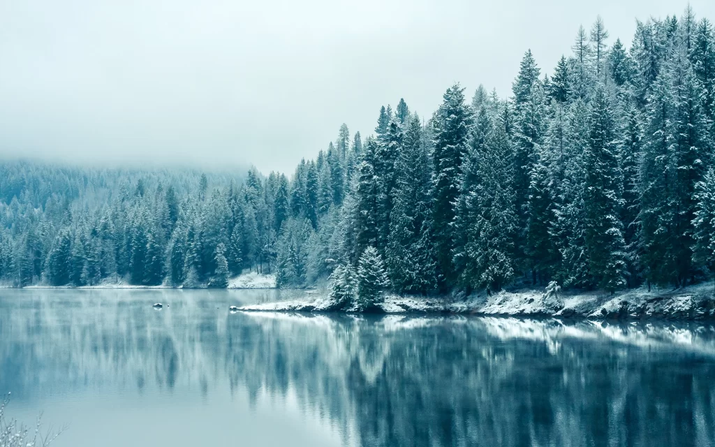 Winter Snowy Forest Lake Reflections