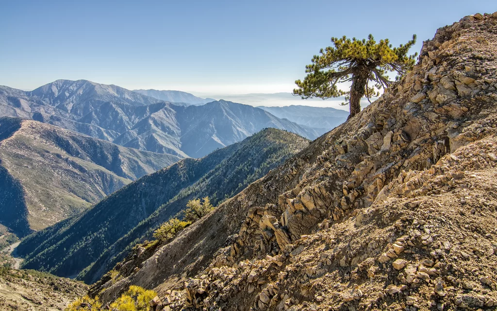 Mountainous Terrain Rocky Slope Solitary Tree Scenic View