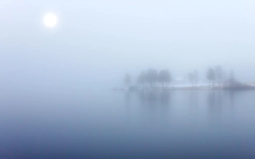 Foggy Lake Reflection Trees Sunlight