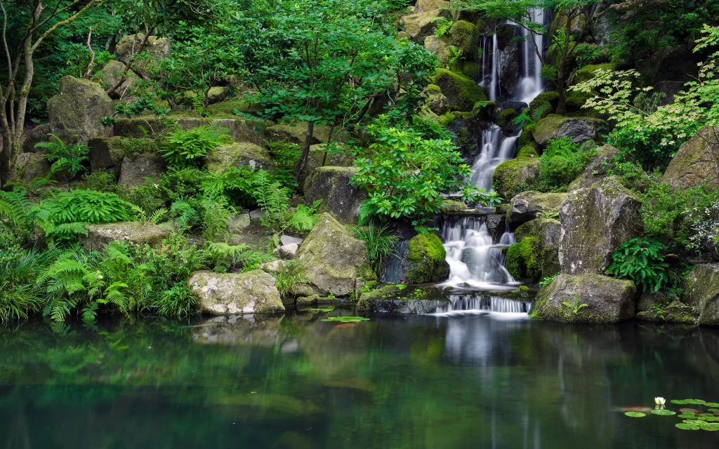 Waterfall Lush Greenery Rocks Pond Nature