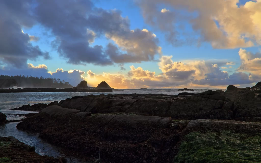 Sunset Ocean Rocks Seaweed Clouds