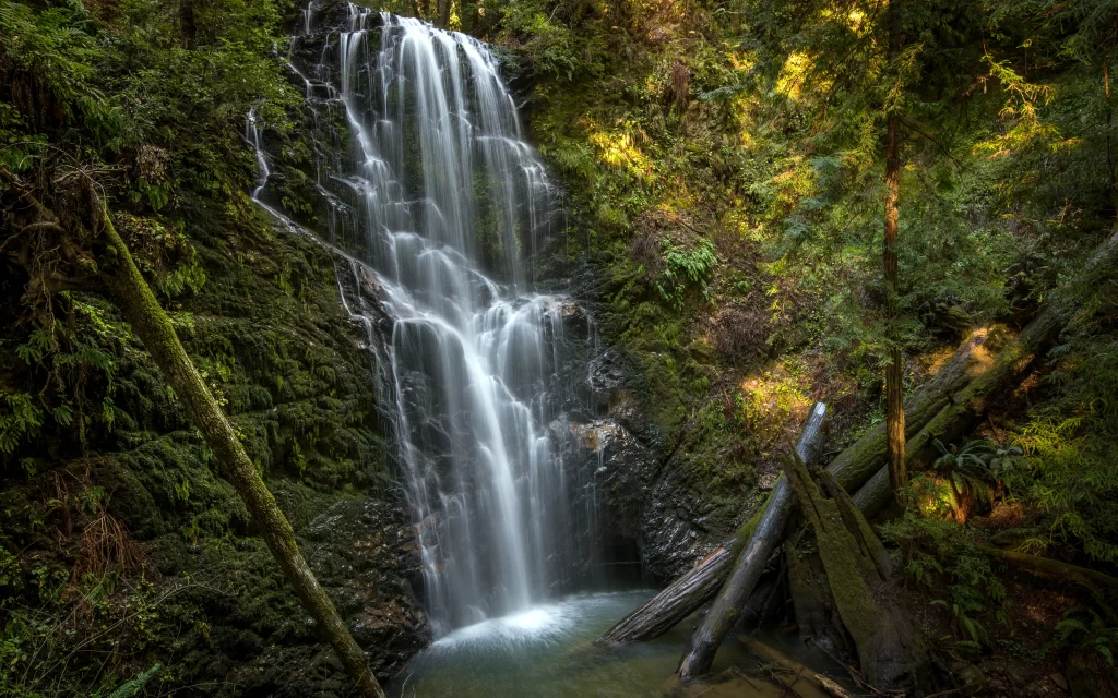 Waterfall Lush Greenery Mossy Rocks Sunlight Forest