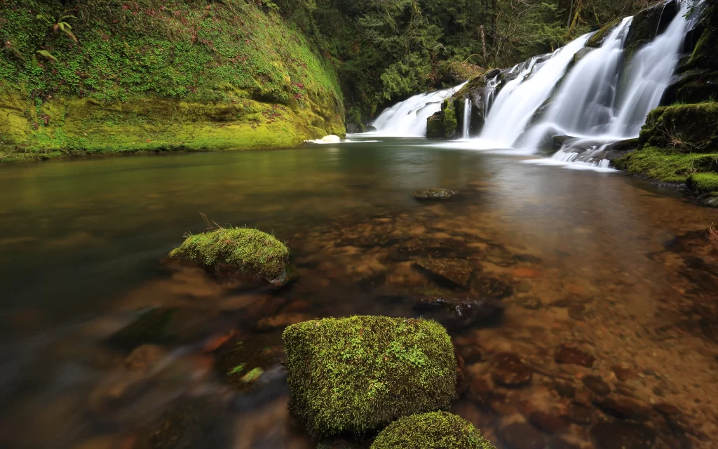 Waterfall Mossy Rocks Clear Stream Forest Greenery