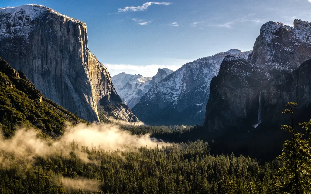 Mountainous Landscape Misty Valley Snow-Capped Peaks Pine Forest