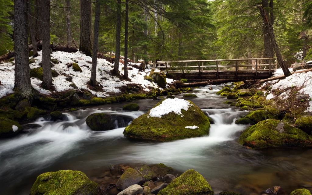 Forest Stream Mossy Rocks Wooden Bridge Snow
