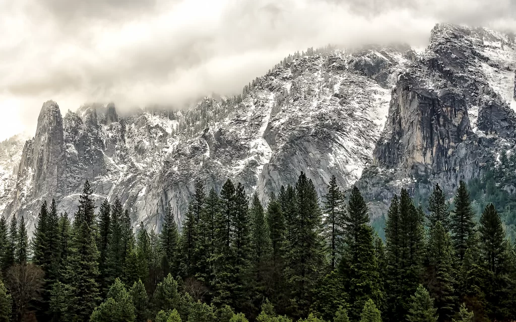 Snowy Mountains Majestic Peaks Clouds Forest Pine Trees
