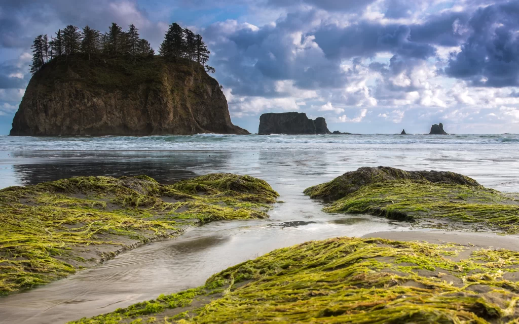 Ocean Waves Rocky Shoreline Green Algae Cloudy Sky