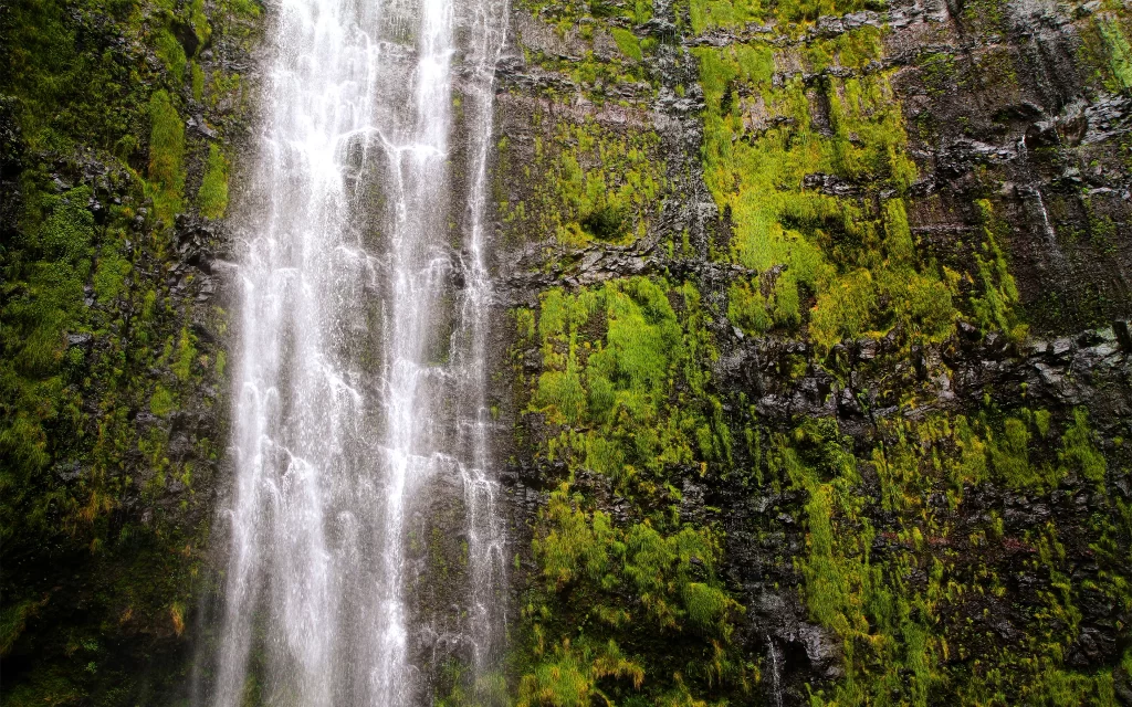 Waterfall Lush Greenery Rocky Cliff Nature Scenic