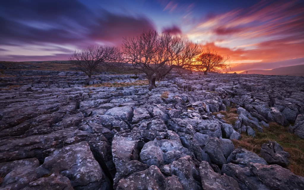 Sunset Rocky Terrain Trees Dramatic Sky