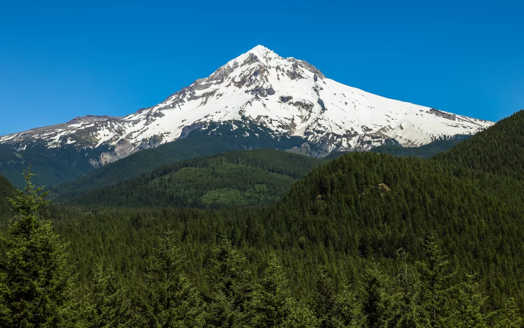 Snowy Mountain Peaks Clear Blue Sky Verdant Forests