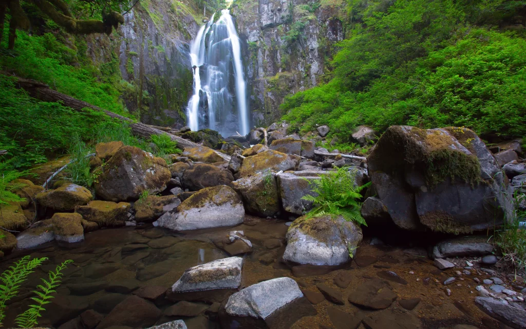 Waterfall Lush Greenery Rocks Stream Nature