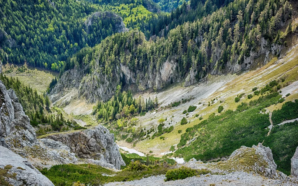 Mountainous Terrain Lush Forest Rocky Outcrops Verdant Slopes