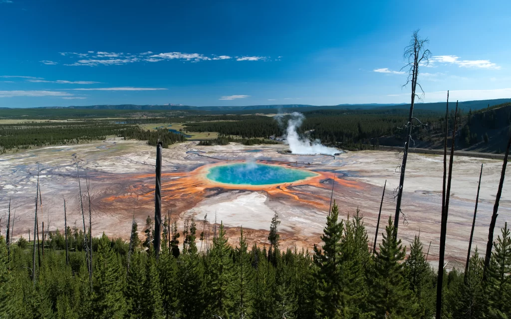 Geothermal Hot Spring Yellowstone National Park Steam Forest