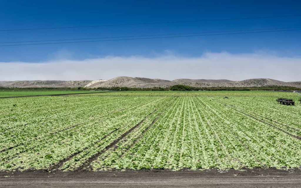 Lush Green Fields Agricultural Land Blue Sky Mountains