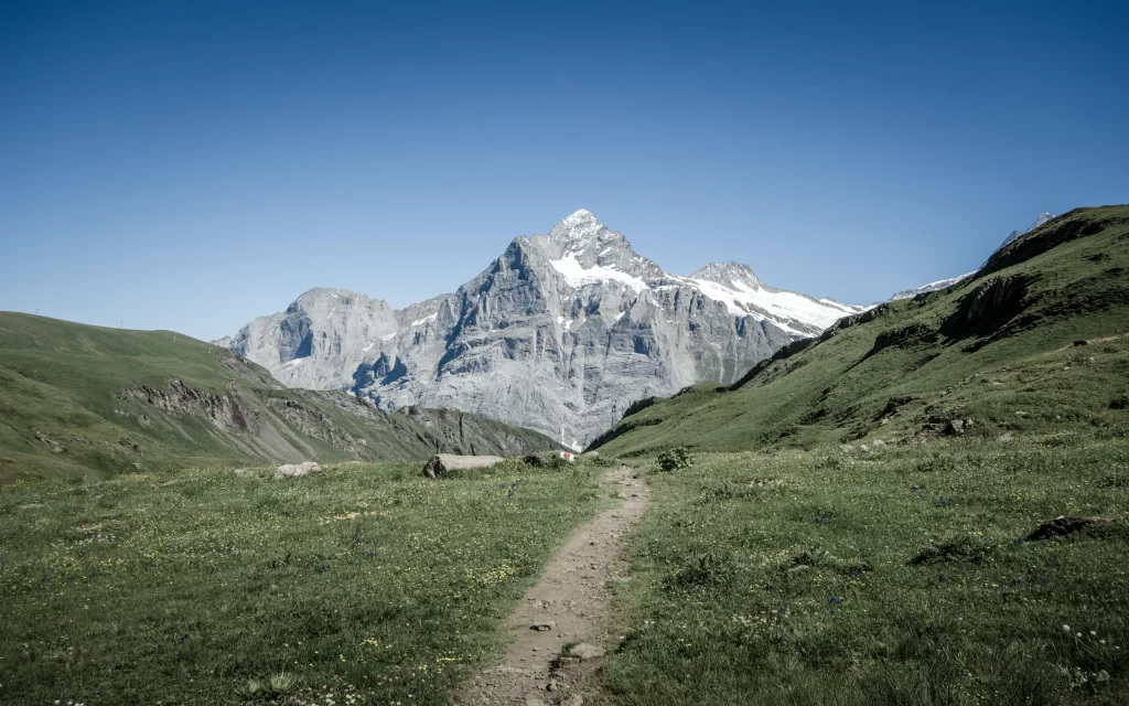 Mountainous Landscape Clear Sky Green Grass Path