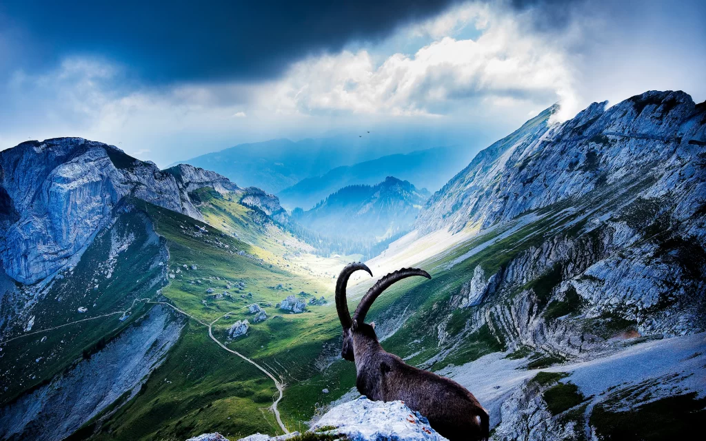 Mountainous Landscape Majestic Peaks Cloudy Sky Sunlight Grazing Animal