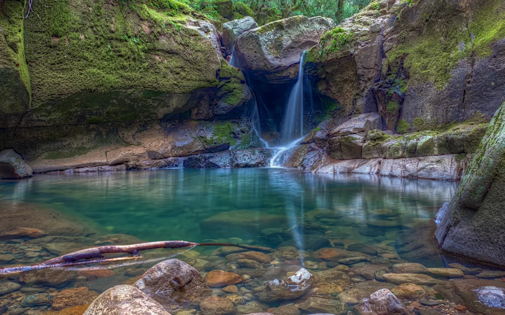 Mossy Rocks Clear Water Tranquil Pool Waterfall Nature