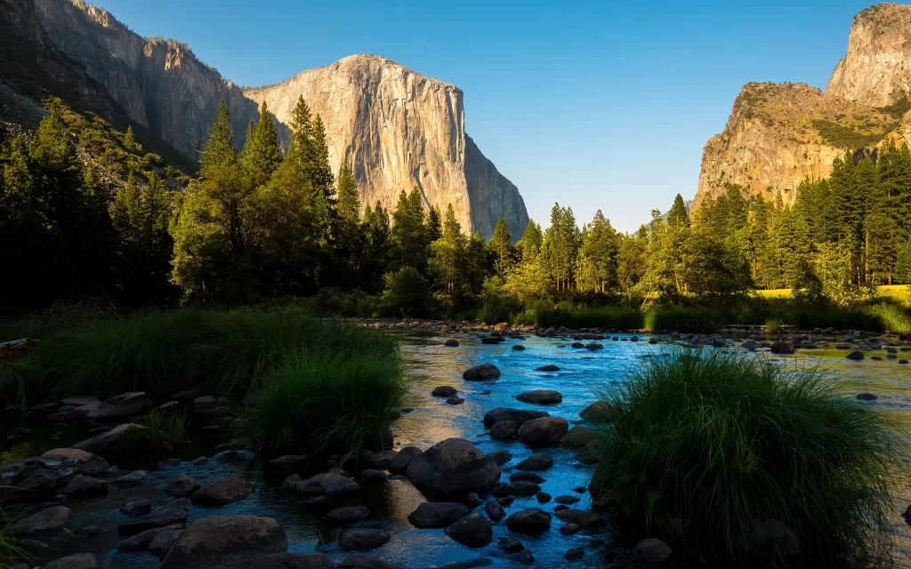 Mountain River Rocks Forest Greenery
